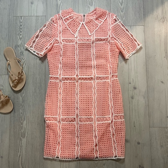 Sexy Lace Cocktail Dress 💋 - Picture 14 of 16